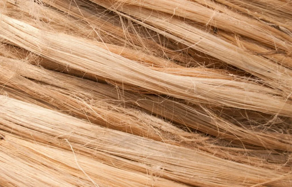 hair porosity
