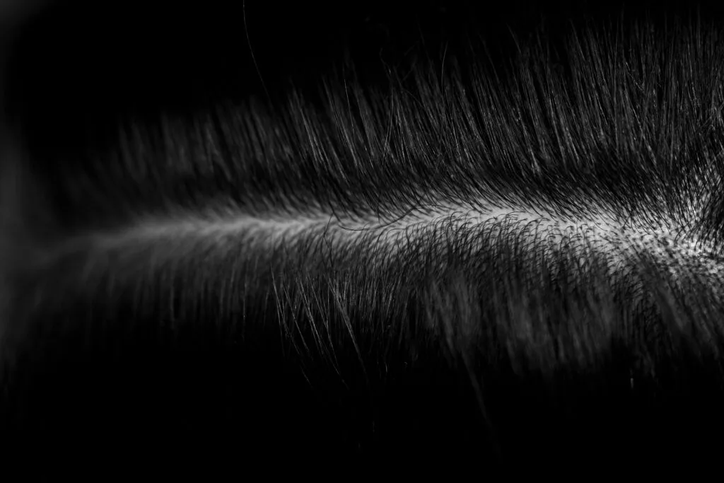 hair porosity